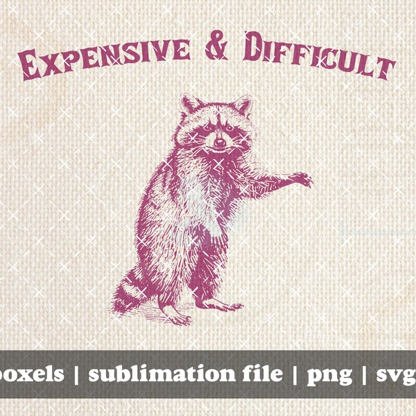 Expensive and Difficult Funny Sarcastic Racoon Hand Drawn | Instant Download |  PNG SVG