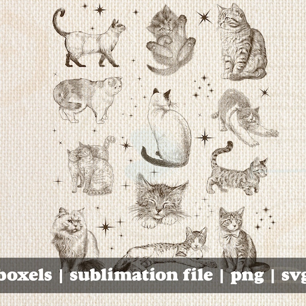 Magical Cats Vintage Hand Drawn Multiple Cat Kitten Breeds With Tarot Sparkles  | Instant Download | svg png