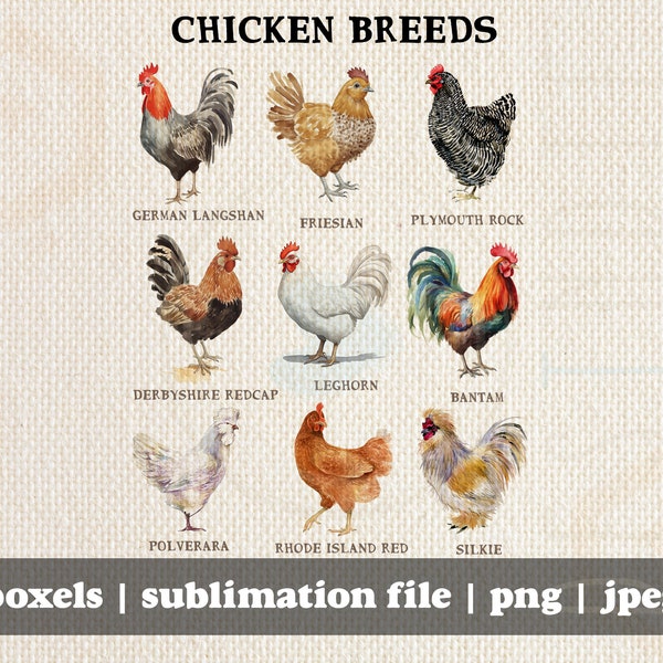 Chicken Breeds | Instant Download | jpg png