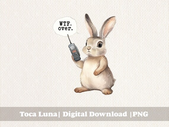 Wtf Over Rabbit Clipart Funny Bunny Memes