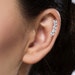 see more listings in the Ear Cartilage section