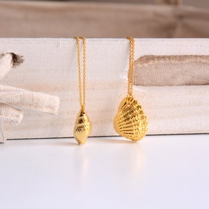 Gold filled Seashell necklace, cowrie necklace, gold necklace, beach necklace, summer jewlery, charm necklace, summer necklace, necklace sea