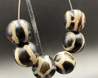 調整美品】 Pygmalius Derius Giappones 4/4