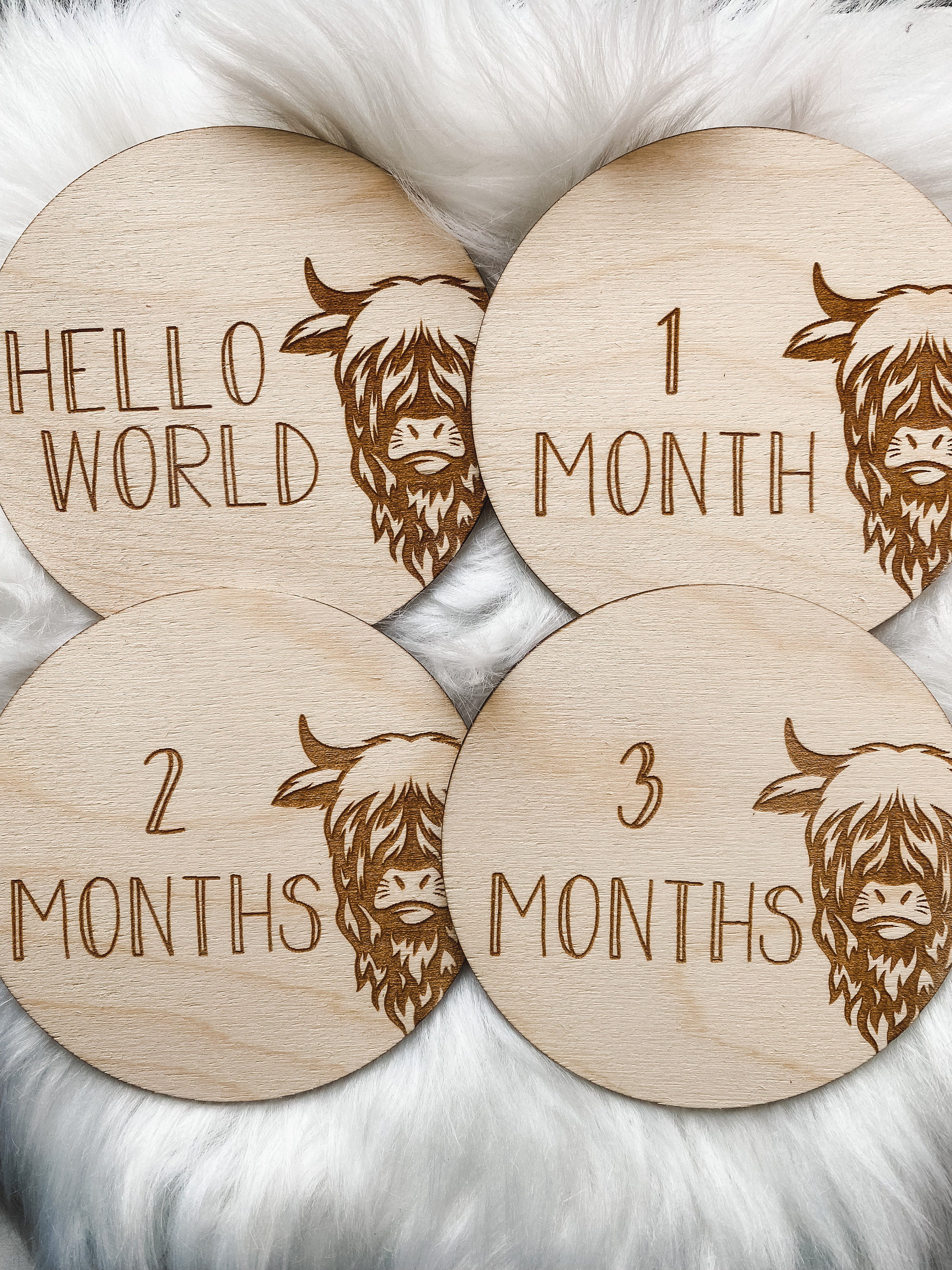 Highland cow boy baby milestones