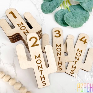 Cactus milestone set