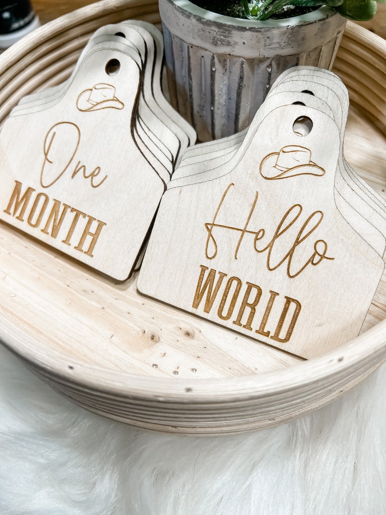 Cowboy/Cowgirl Baby Milestones Set