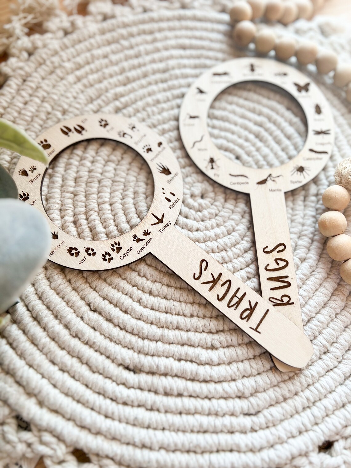 Bug and Track Identifier Wood Learning Tool - Etsy