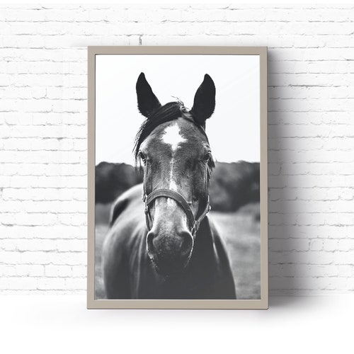Horse Print Horse Prints Wall Art Horse Print Black and Etsy