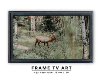 Samsung Frame TV Art. Jasper National Park. Elk. Alberta Canada. Instant Digital Download. Frame TV Size 3840 x 2160. Landscape Art Print.