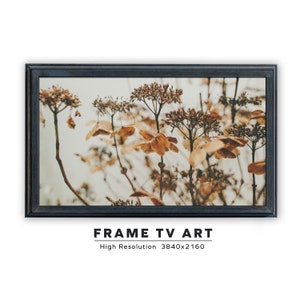 Samsung Frame TV Art. Autumn Bloom. Instant Digital Download. Frame TV Size 3840 x 2160. Fall Landscape Art Print.