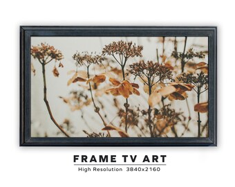 Samsung Frame TV Art. Autumn Bloom. Instant Digital Download. Frame TV Size 3840 x 2160. Fall Landscape Art Print.