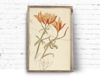 Art Print. Flower Study- Emperor's Crown. Albert Edelfelt. Vintage Painting. Instant Download Printable Art.