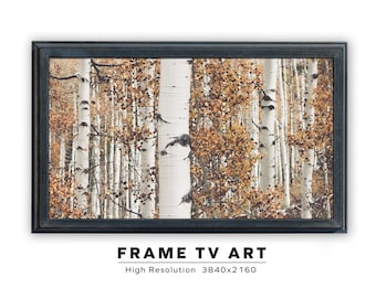 Samsung Frame TV Art. Birch Trees In Autumn. Fall Autumn Photography. Frame TV Art. Instant Digital Download. Frame TV Size 3840 x 2160.