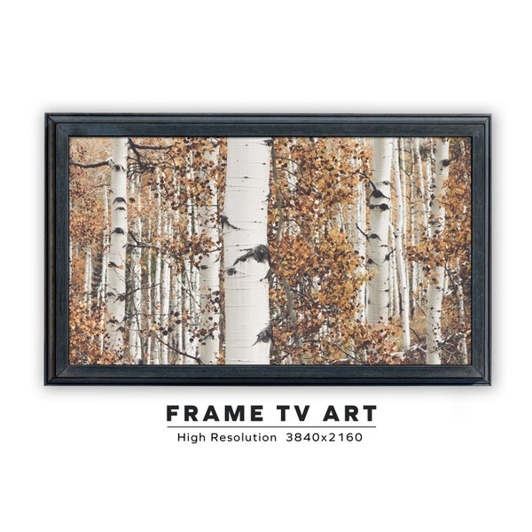 Samsung Frame TV Art. Birch Trees In Autumn. Fall Autumn Photography. Frame TV Art. Instant Digital Download. Frame TV Size 3840 x 2160.