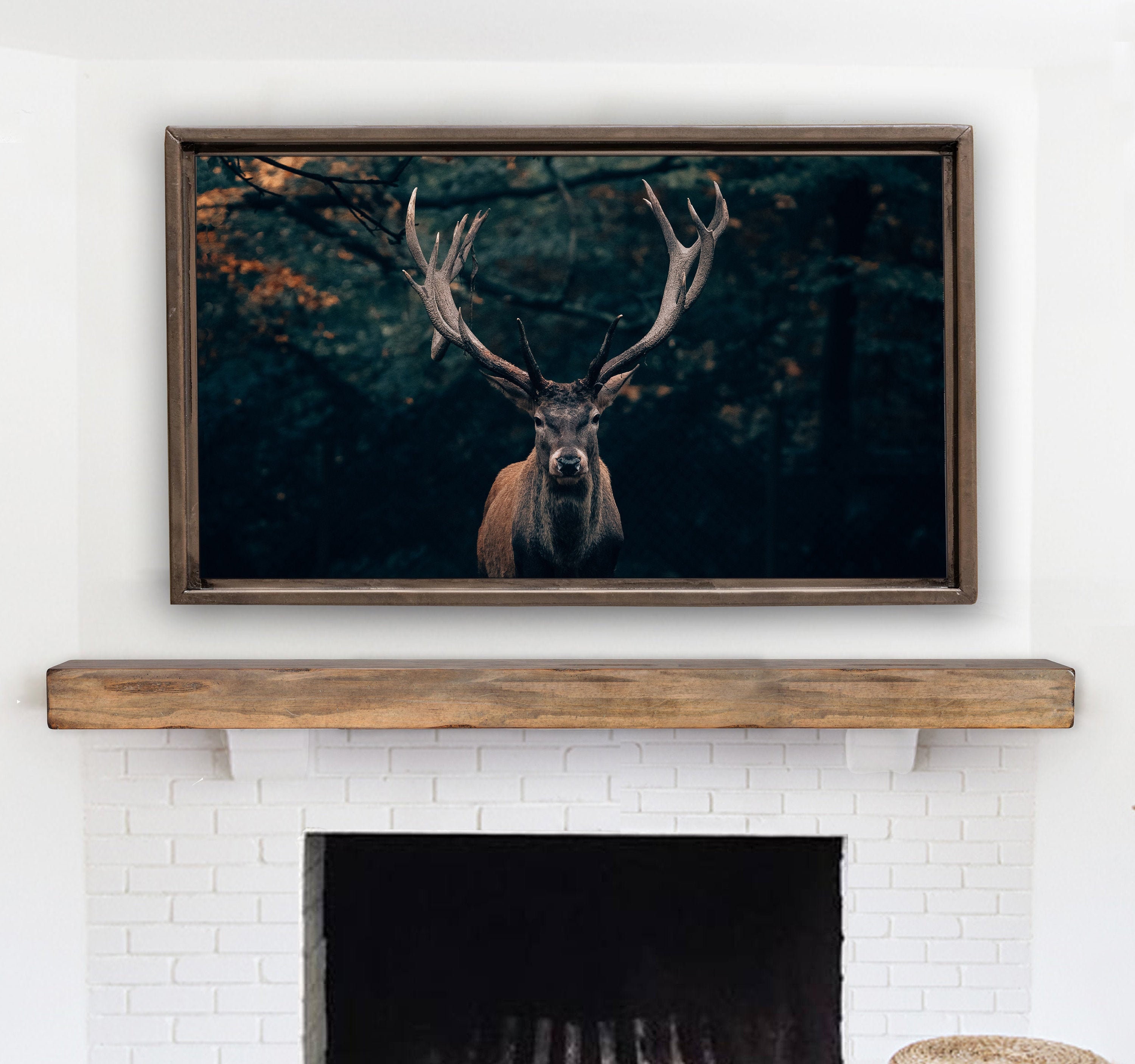 Samsung Frame Tv Art Enchanting Deer Woods Wildlife Buck Etsy