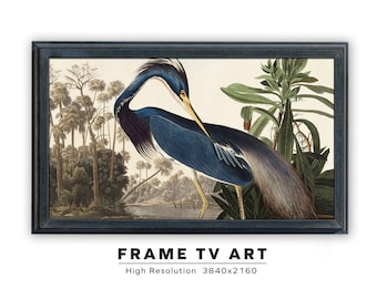 Samsung Frame TV Art. Vintage Audubon Painting. Louisiana Heron. John James Audubon. Instant Digital Download. Frame TV Size 3840 x 2160.