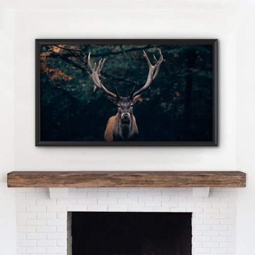 Samsung Frame Tv Art Enchanting Deer Woods Wildlife Buck Etsy Samsung Frame Tv Art Enchanting Deer Woods Wildlife Buck Etsy