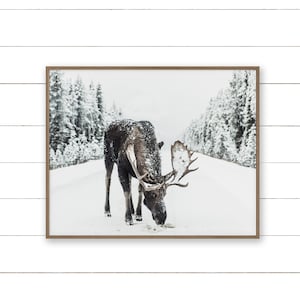 Winter Moose. Instant Download Printable Art. Photography. Moose Art Print.  Moose on Snowy Road. Digital Wall Art.