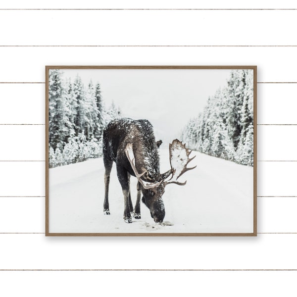 Vinterälg. Direktnedladdningsbar utskrivbar konst. Fotografi. Älgkonsttryck. Älg på snöig väg. Digital väggkonst.
