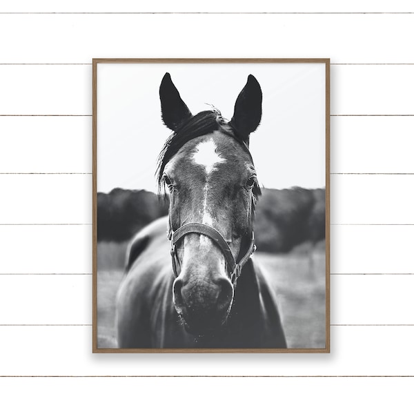 Horse Art Print. Instant Download Printable Art. Black + White Photography. Horse Photograph. Digital Wall Art.