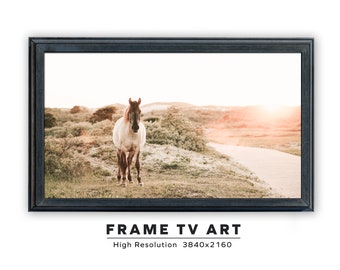 Samsung Frame TV Art. Wild Horse. Instant Digital Download. Frame TV Size 3840 x 2160. Frame TV Art.