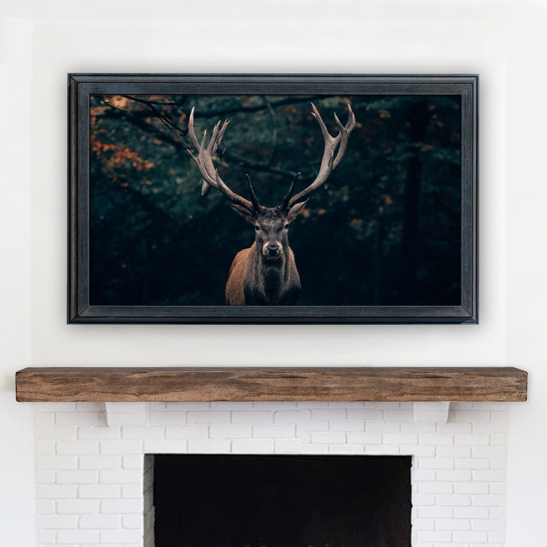 May include: A framed photograph of a large, brown stag with antlers standing in a dark forest. The stag is looking directly at the camera.