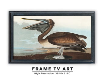 Samsung Frame TV Art. Vintage Audubon Painting. Brown Pelican. John James Audubon. Instant Digital Download. Frame TV Size 3840 x 2160.