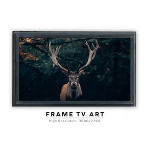 May include: A framed photograph of a large, majestic deer with antlers standing in a dark forest. The deer is looking directly at the camera. The background is a dark green and brown forest.