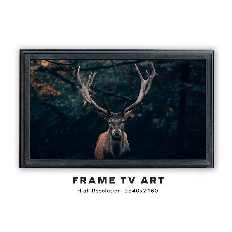 May include: A framed photograph of a large, majestic deer with antlers standing in a dark forest. The deer is looking directly at the camera. The background is a dark green and brown forest.