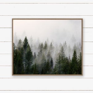 Art Print. Photography. Evergreen Trees. Instant Download Printable Art.