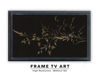 Samsung Frame TV Art. Study of a Grass Seed. Instant Digital Download. Frame TV Size 3840 x 2160. Vintage Autumn Foliage Art Print.