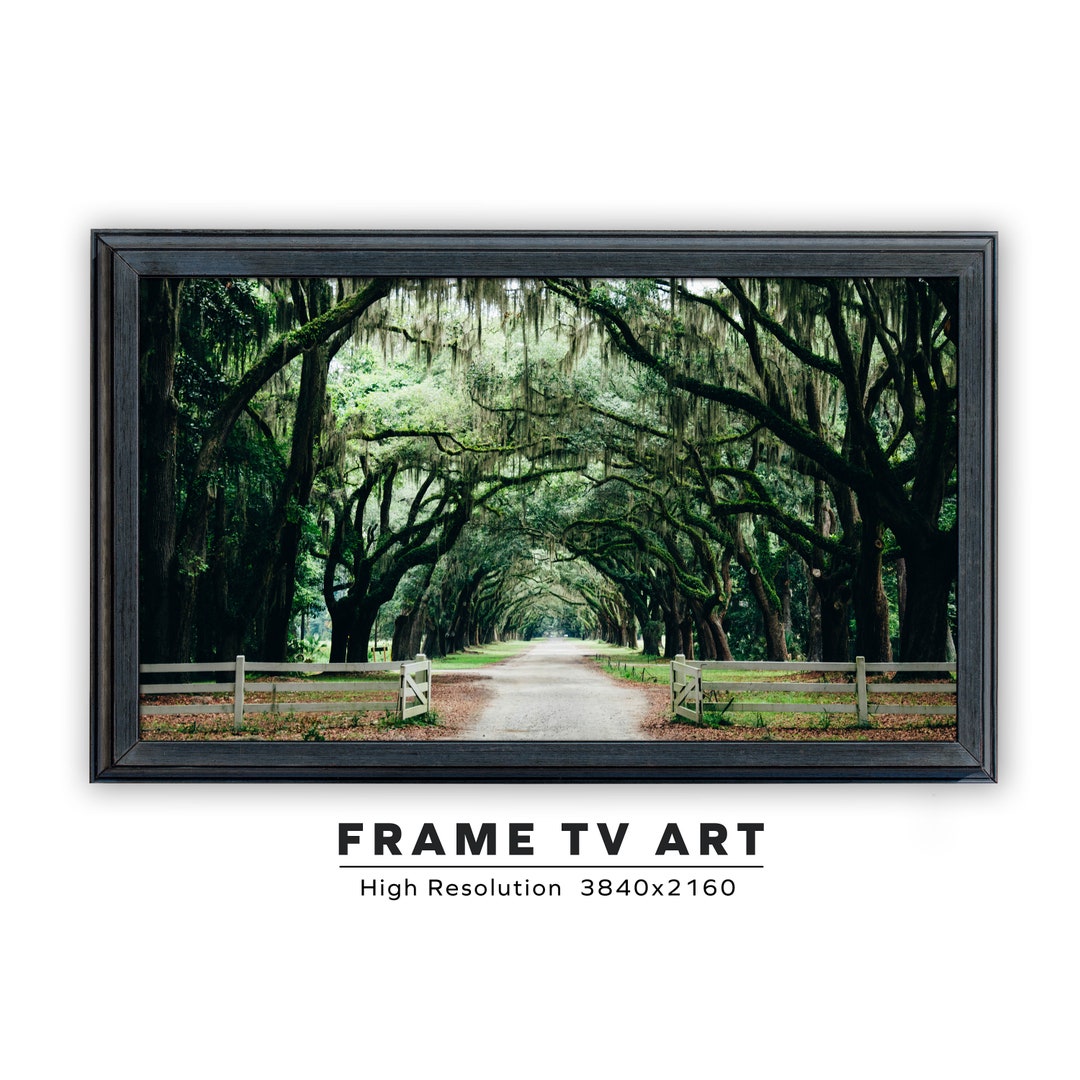 アート・デザイン・音楽 Photography Graphics Annuals Select Samsung Frame TV Art - In a Good Mood Colorful Abstract