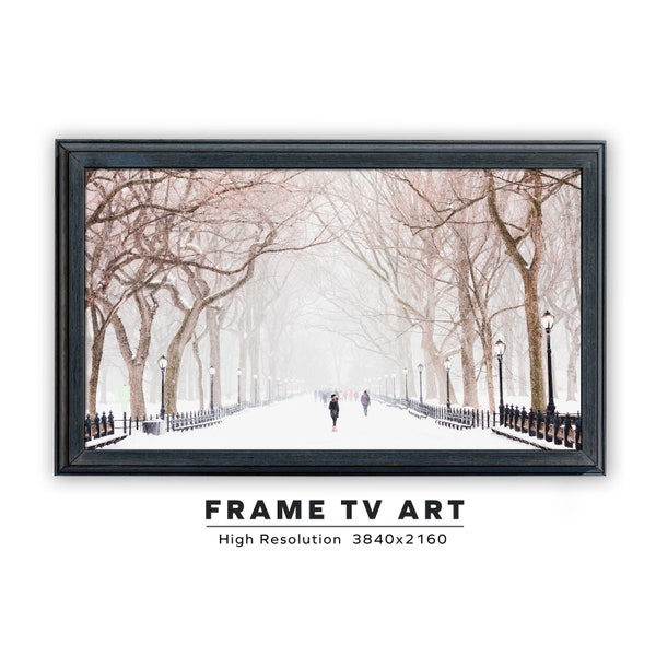 Samsung Frame TV Art. Snowy Central Park. Instant Digital Download. Frame TV Size 3840 x 2160. Winter Art Print.