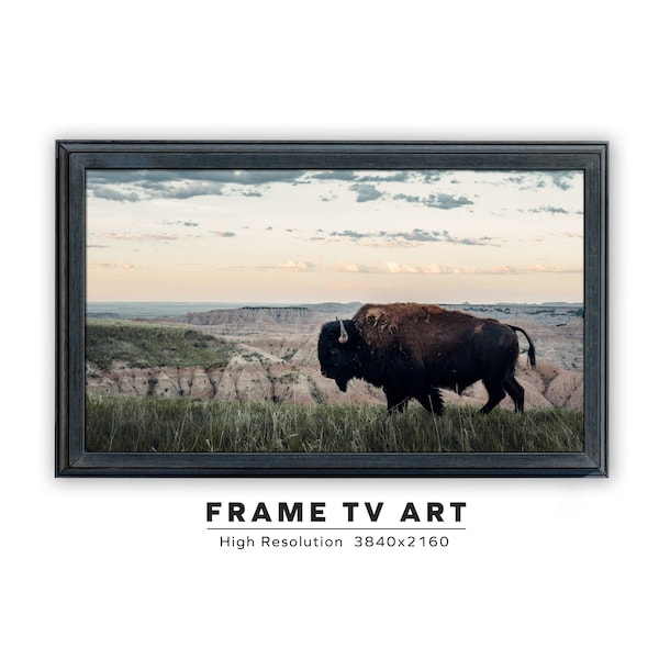 Samsung Frame TV Art. Bison. Landscape Print for The Frame TV. Instant Digital Download. Frame TV Size 3840 x 2160.