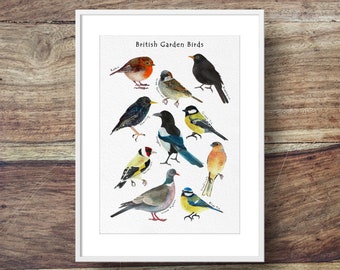 Garden Bird Identifier Chart