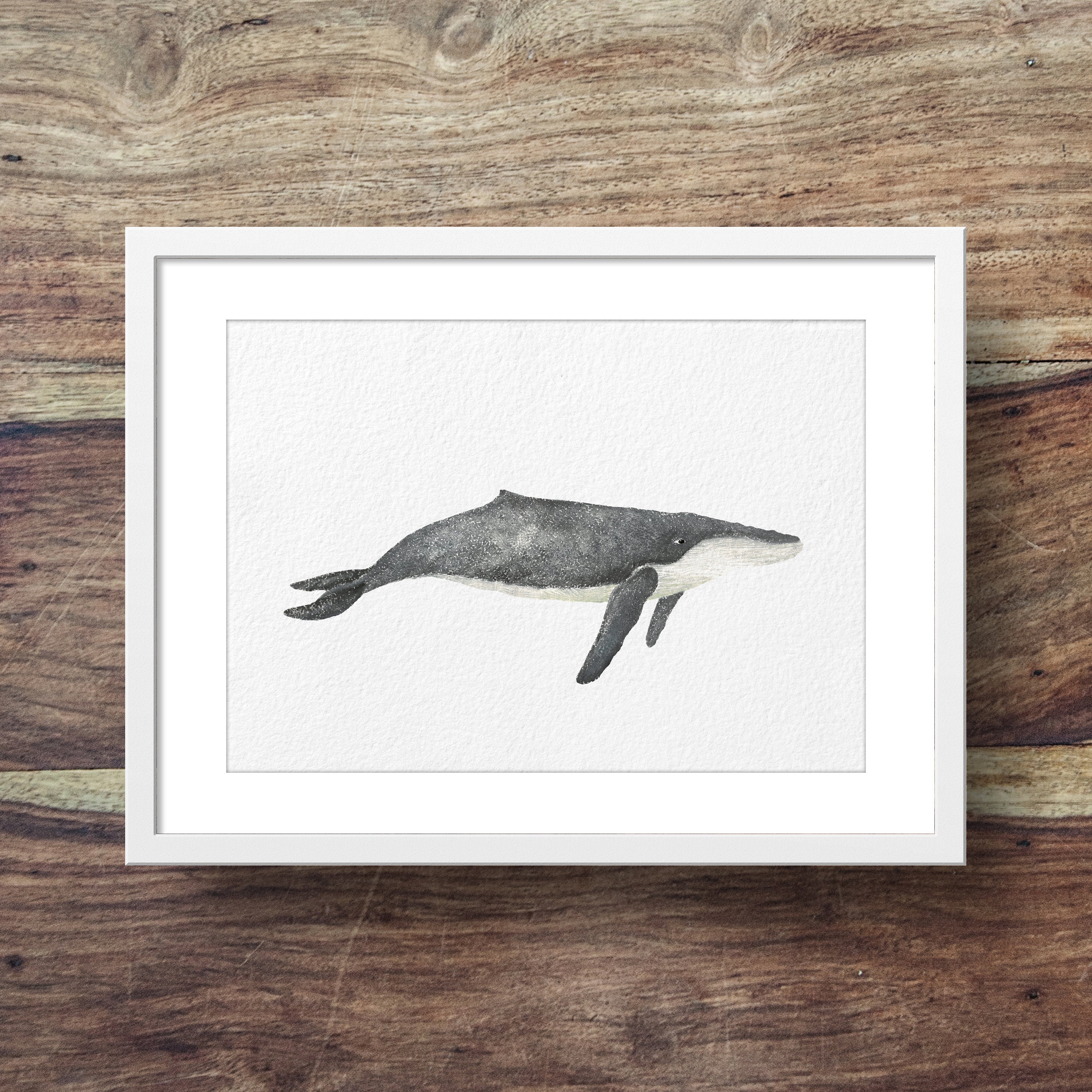 Humpback (whale art, whales, humpback art)