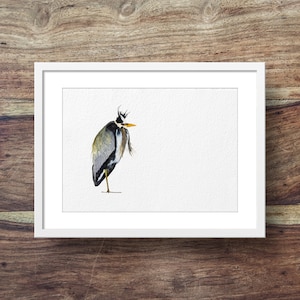 Heron (Grey Heron, british bird, heron art, herons)