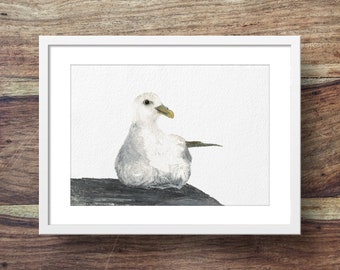 Fulmar (sea bird, fulmar art, fulmar print, sea bird art)