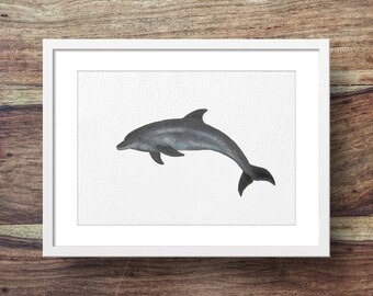 Bottlenose dolphin (dolphin art, dolphin print, dolphins)