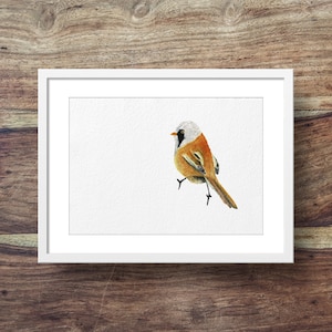 Könnte beinhalten: Ein Aquarellbild eines kleinen, orange-weißen Vogels mit schwarzem Kopf. Der Vogel sitzt auf einem Ast und schaut nach rechts. Der Hintergrund ist weiß.
