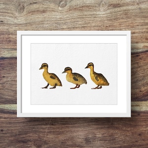 Three Ducklings (duckings, duck art, cute duck art)