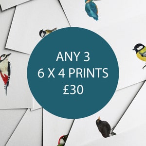 ANY 3 6x4  PRINTS - Nursery Prints - Baby Nursery - Home Decor - Kids Room - Wall Art - Illustration - Special Offer