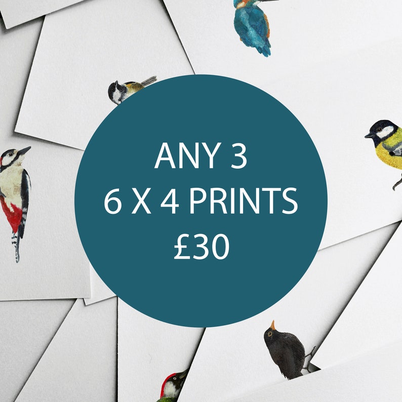 ANY 3 6x4 PRINTS Nursery Prints Baby Nursery Home Decor Etsy UK