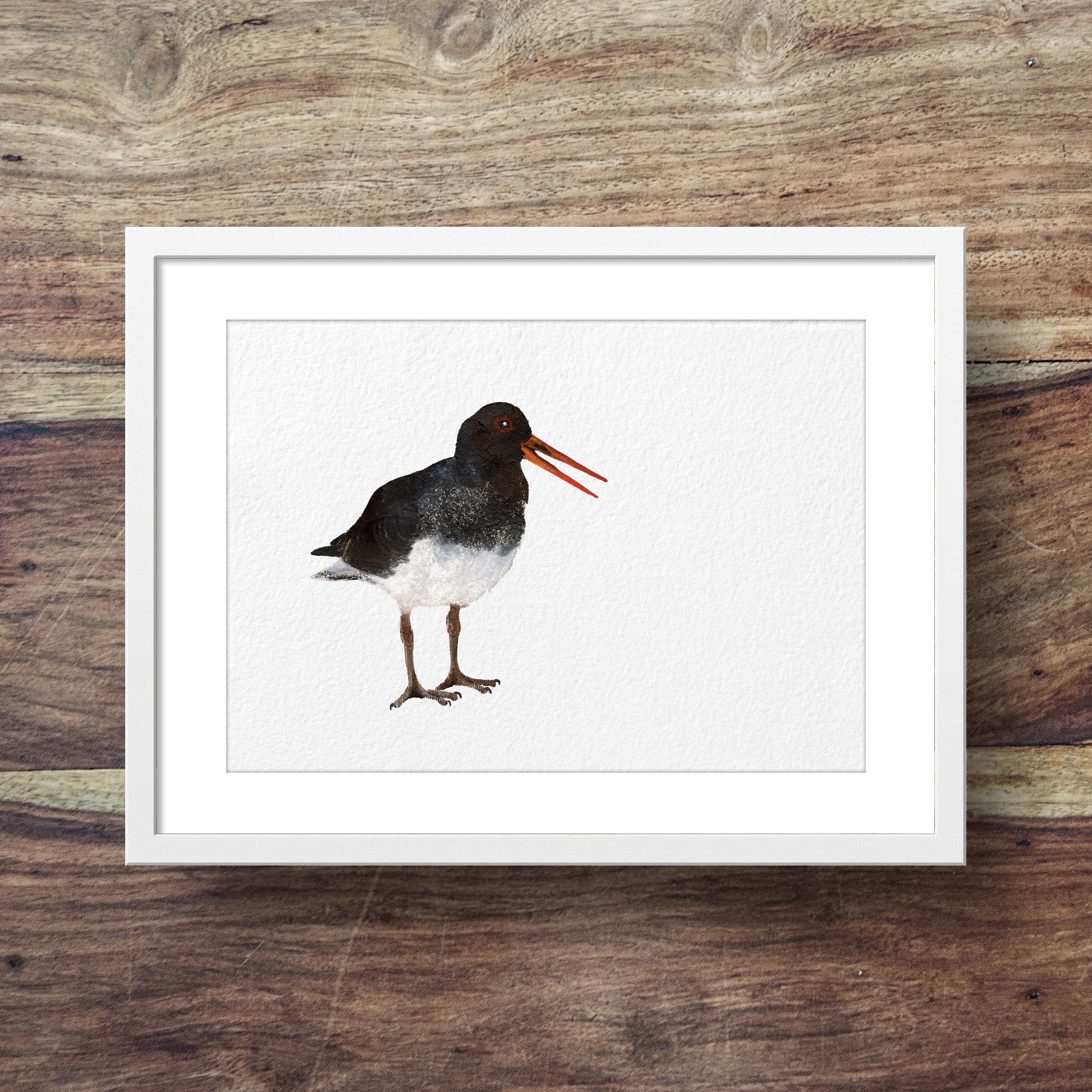 Oystercatcher | Art de L'oiseau Mer, Estampes Côtières, Art Côtier, Oiseaux, Oiseaux Beatiful