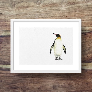 Emperor Penguin (Penguin art, cute penguins, penguins, penguin print)