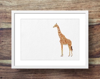 Girafe