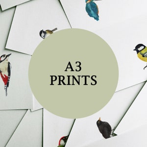 A3 Print