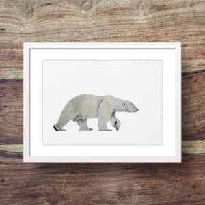 Polar Bear
