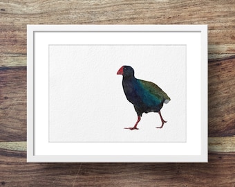 Takahe (New Zealand art, New Zealand birds)