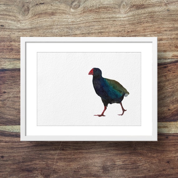 Takahe (New Zealand art, New Zealand birds)